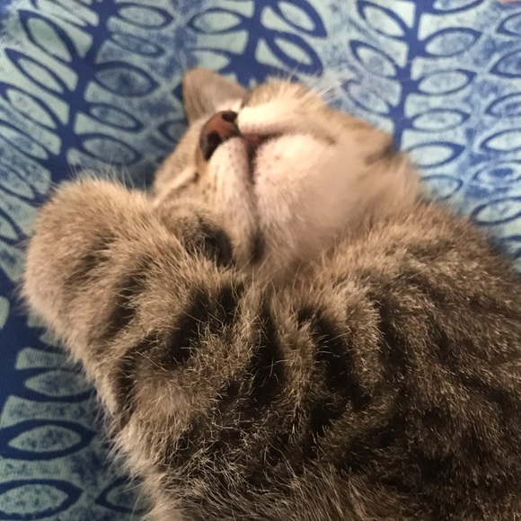 Meet your Posher, Andria - Picture 1 of 5